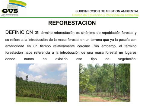 Diapositivas Reforestacion Agricultura Medio Ambiente Ppt