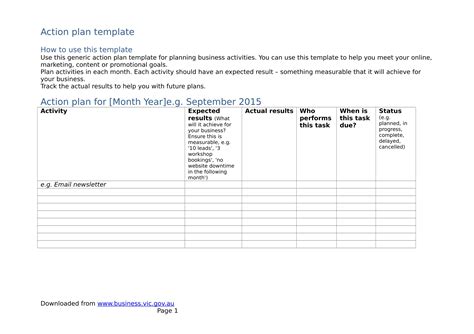 Action Plan Examples For Business