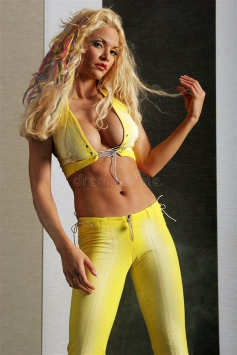 Femme blonde image stock Image du attrayant féminin