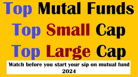 Best Small Cap And Large Cap Mutual Funds For 2024 Top 3 Given Highest Annual Returns Last