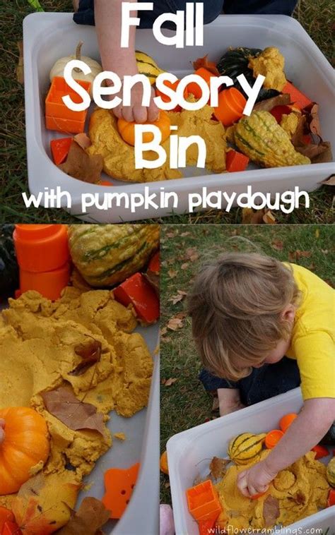 Fall Sensory Bin With Homemade Pumpkin Play Dough Wildflower