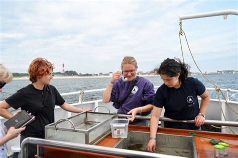 Genie T Jede Sekunde Schutzstation Wattenmeer