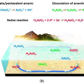 A The Eh Ph Diagram For Arsenic At C And Kpa Adapted With