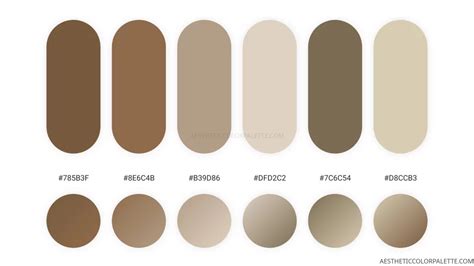 Beige Colors Aesthetic Color Palette