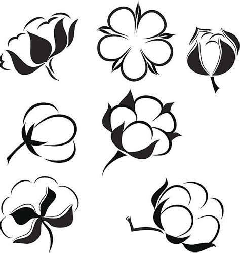 cotton boll clipart 20 free Cliparts | Download images on Clipground 2025