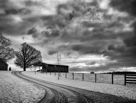 Images Gratuites Paysage Arbre Herbe De Plein Air Horizon Neige