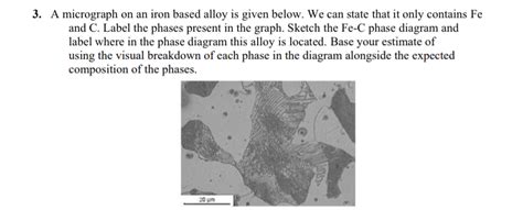 Solved A micrograph on an iron based alloy is given below. | Chegg.com