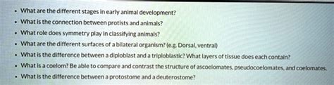 SOLVED: What are the different stages in early animal development? What ...