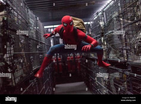 Tom Holland Estrellas Como Spider Man En Columbia Pictures Spider Man