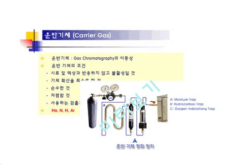 자연과학 화학 가스크로마토그래피 Gas Chromatographygc화학실험과제