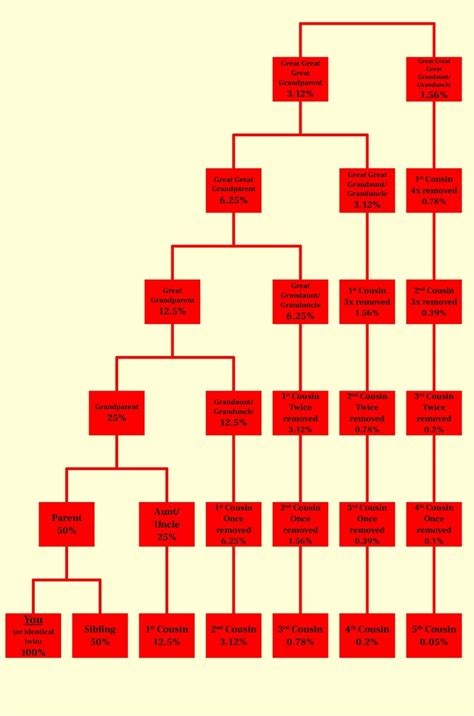 I Made This Cousin Chart A While Back It Shows The Names Of Different