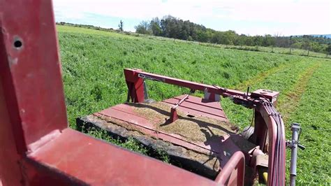 Me And Roger Mowing 3rd Cutting Alfalfa YouTube