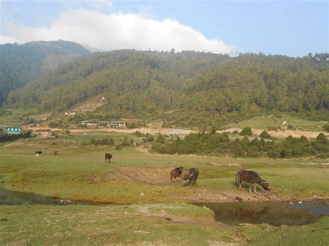 Interesting Facts about Dhorpatan Hunting Reserve - Marvels of Nepal