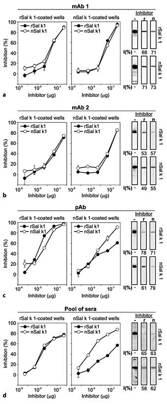 Immunological Characterization And Validation Of Rsal K In Comparison