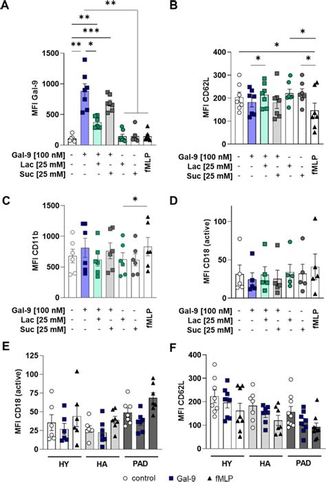 Galectin A Novel Promoter Of Atherosclerosis Progression