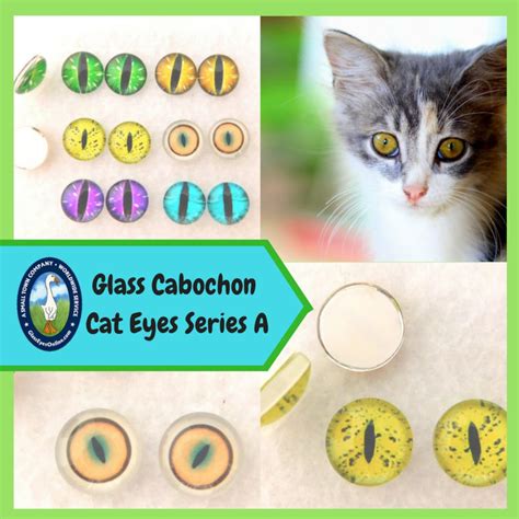 6 Pair Glass Cat Eyes Cabochon Eyes Size 8mm To 14mm Use In Sculpture Carving Needle Felt