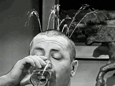 Drinking Three Stooges GIF - Drinking Three Stooges Water - Discover ...