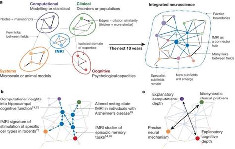 Nature：fmri联接系统神经、认知神经、计算神经和临床神经科学 知乎