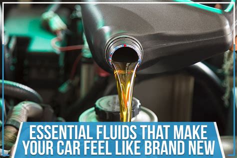 Essential Fluids That Make Your Car Feel Like Brand New