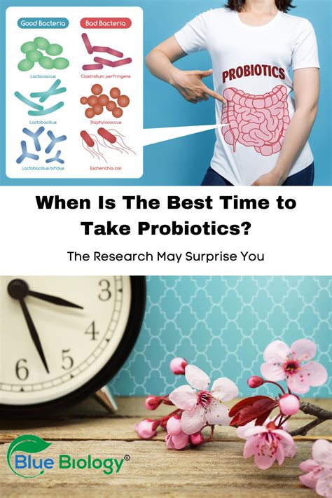 Best Time To Take Probiotics