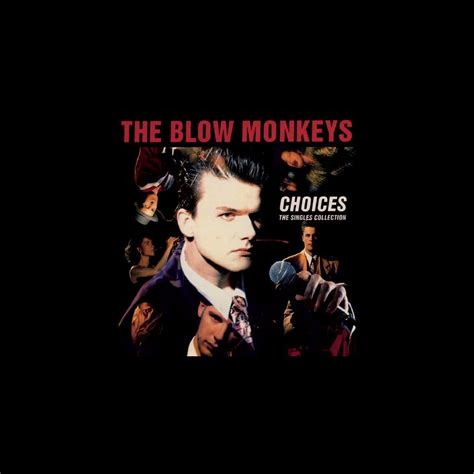 Choices The Singles Collection Album By The Blow Monkeys Apple Music