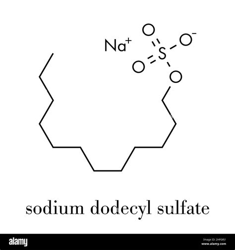 Sodium Dodecyl Sulfate Sds Sodium Lauryl Sulfate Surfactant Molecule