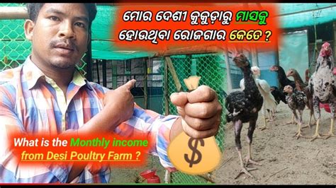 My Desi Poultry Farm Income And Investment Desi Poultry Farm Profit