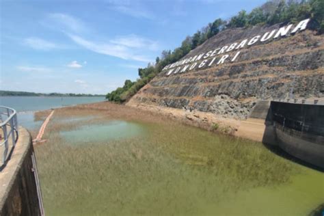 Makam Kuno Muncul Saat Waduk Gajah Mungkur Surut Ini Sejarahnya