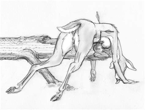 Rule 34 Anthro Anus Black And White Breasts Cervine Dead Death Deer