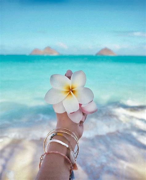 Tropical Beach Aesthetic Wallpaper