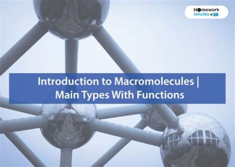 Introduction to Macromolecules | Main Types with Functions