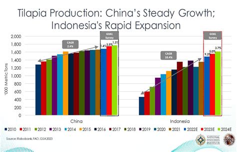 China Indonesia Driving Growth In Global Tilapia Production