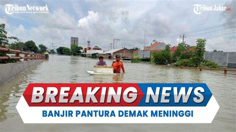 Breaking News Banjir Pantura Demak Meninggi Warga Terdampak Hingga