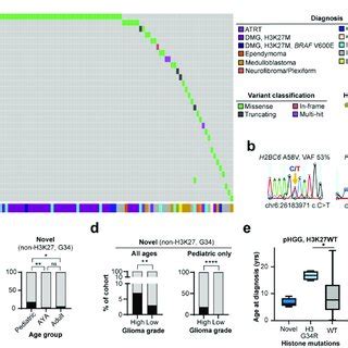 Overlapping histone mutation spectrum between patient tumor tissue and ...