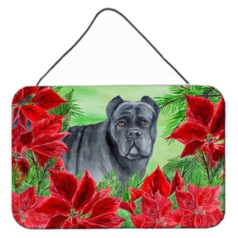 Carolines Treasures Ck1342ds812 Cane Corso Poinsettas Wall Or Door Hanging Prin 8hx12w Ralphs