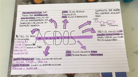 Mapa Mental Ácidos Fisiologia I