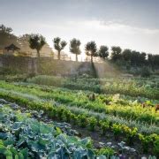 Kasteel Hex Kitchen Garden | Jason Ingram | Bristol photographer of gardens, food, people ...