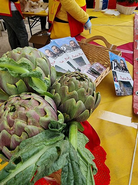 Ritorna La Sagra Del Carciofo Di Pietrelcina 2022 Napoli Da Vivere