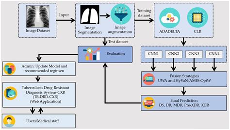 Frontiers Computer Aided Diagnosis Using Embedded Ensemble Deep