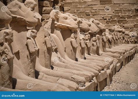 Avenue Of Sphinxes At Entrance To Ancient Egyptian Temple Of Luxor