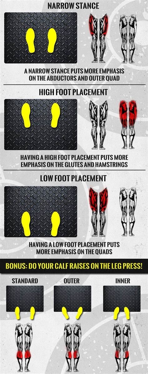 volatilidade autobiografia esquema leg press foot placement variations Onça Catedral Salto