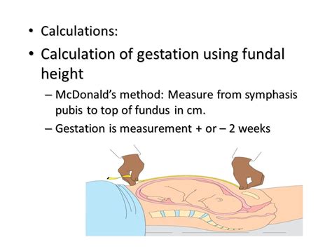 Antenatal Care Ppt Download