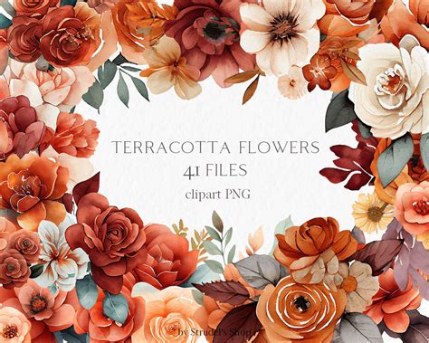 Terracotta Flowers Watercolor Clipart PNG Autumn Terracotta Wedding