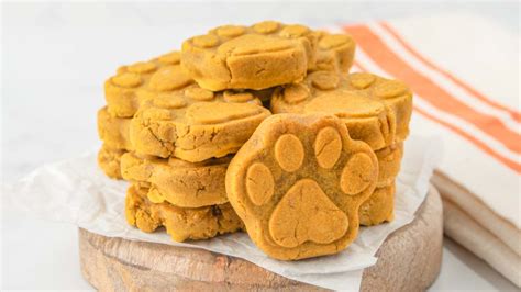 Easy Pumpkin Dog Biscuits Recipe - Spoiled Hounds