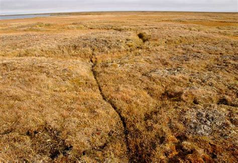 Tundra and Permafrost | Ice Stories: Dispatches From Polar Scientists