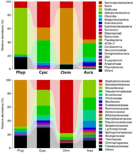 Comparative Analysis Of The Composition Of The Bacterial Communities In