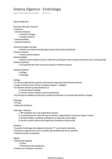 Sistema Digestivo Embriología Jorge Francisco Huaman Alvarez uDocz