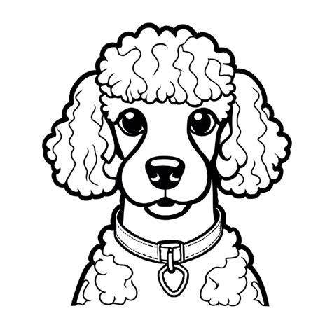 Adorable Poodle Coloring Page Lulu Pages