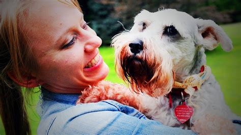 Dog Meets Owner After A Long Time 🐶🐶 Cute Dogs Reunited With Their