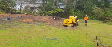 Home Tree Stump Grinding And Removal Auckland